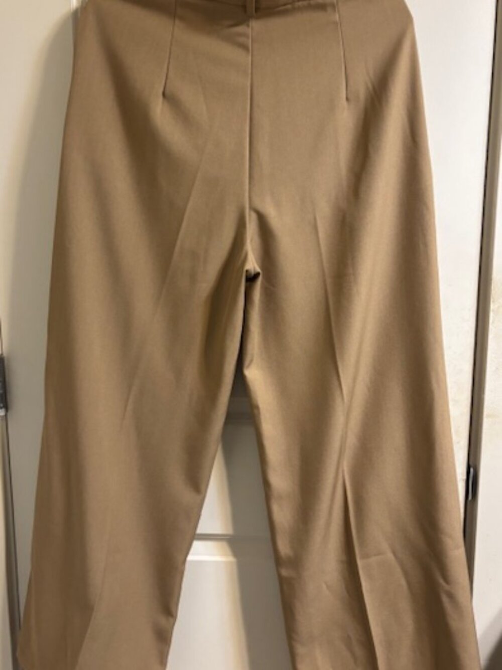Anewsta Women's Beige Pleated High-Waisted Dress Pants Size L - Picture 2 of 11